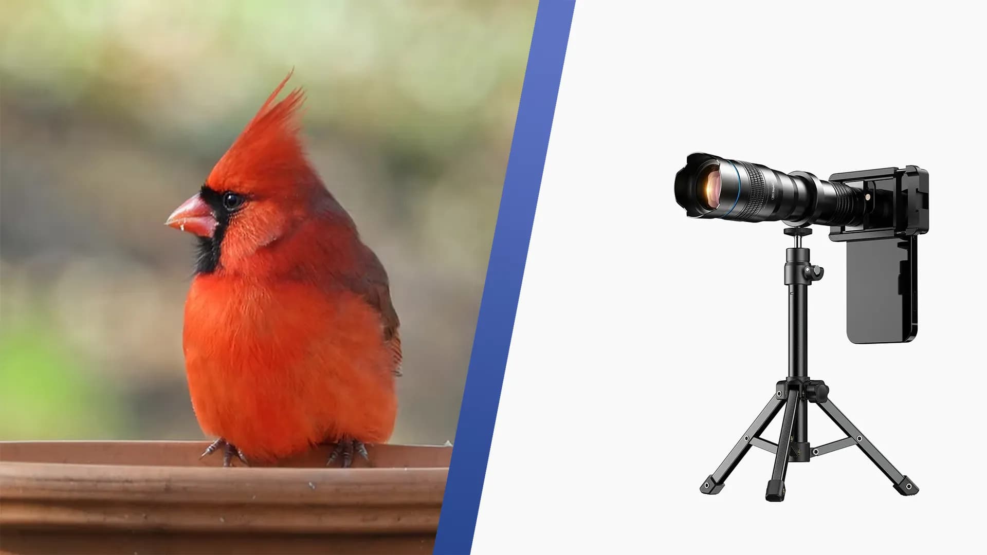 Обзор телеобъектива Apexel 36X для смартфона