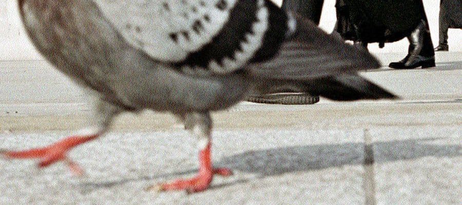 Чем привлекательна съемка на улице