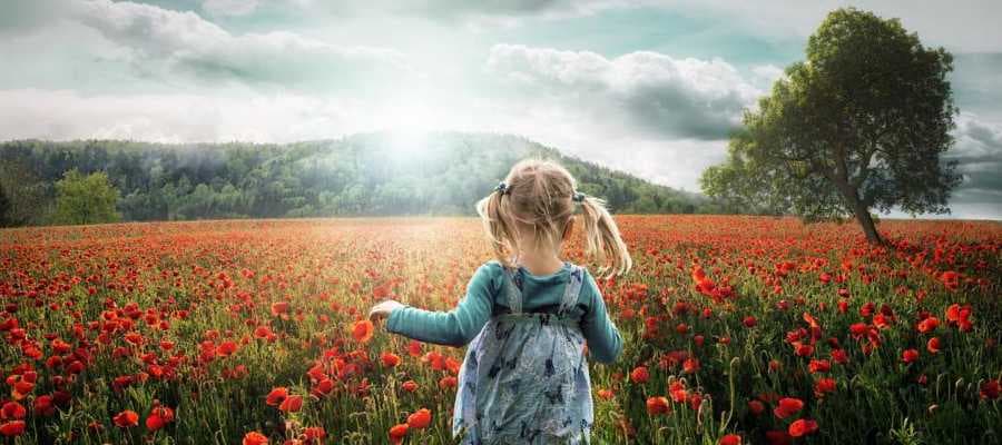 Простой секрет успешных фотографий