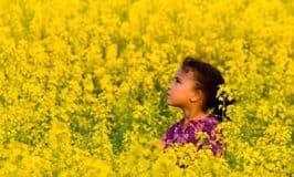 Как использовать контраст в фотографии