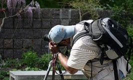 Как научиться фотографировать на улице?