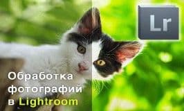 Обработка фотографии в Lightroom