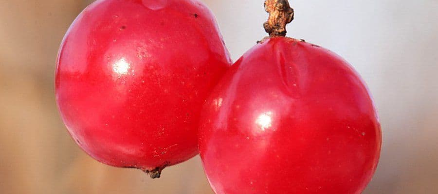 Режимы настройки экспозиции, ГРИП, резкость