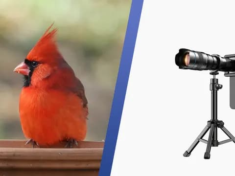 Обзор телеобъектива Apexel 36X для смартфона